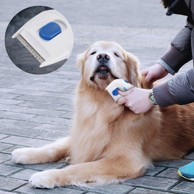 FleaCatcher® | Elektrische vlooien- en tekenkam voor honden